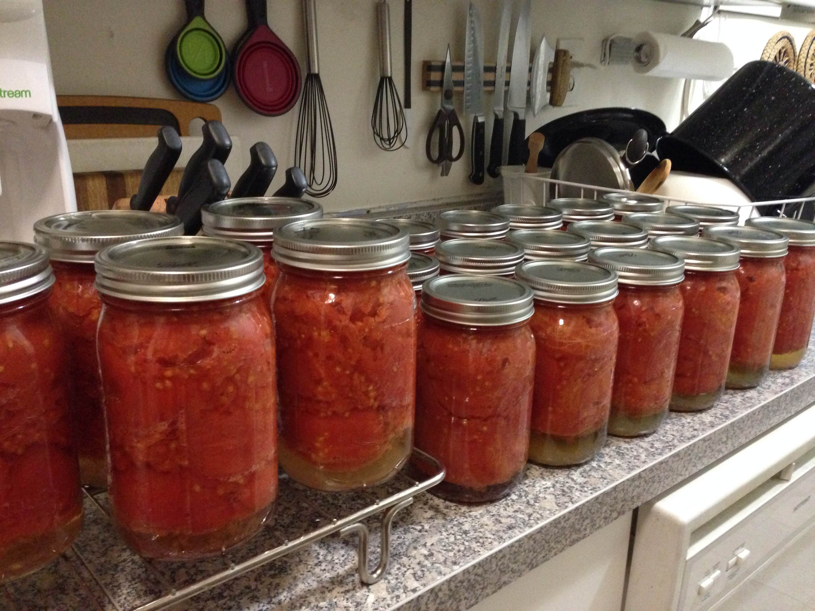 The final product: 23 quarts of home-canned tomatoes