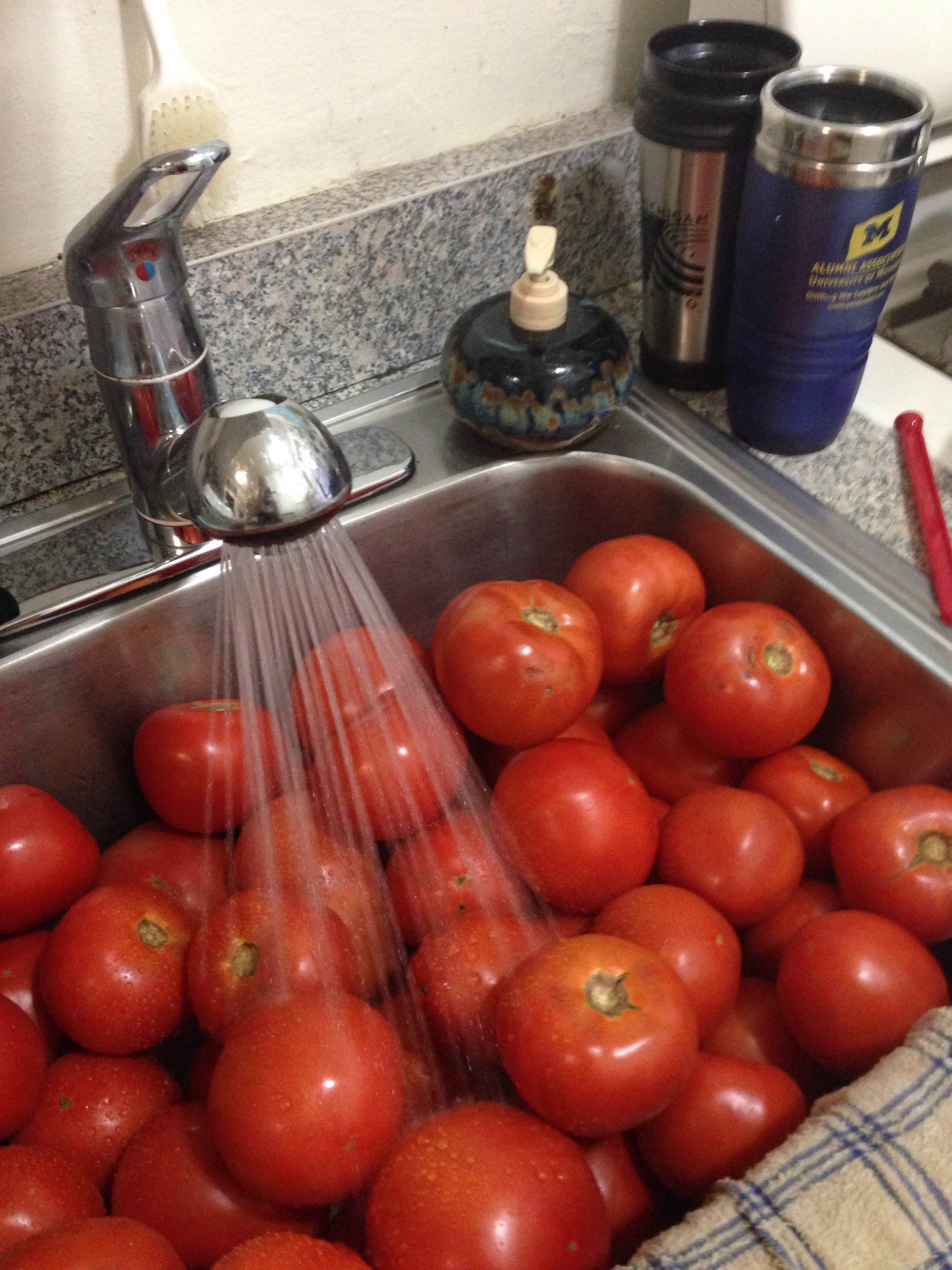 Washing the tomatoes to get them ready for canning